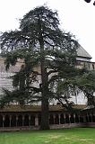 IMG_1699