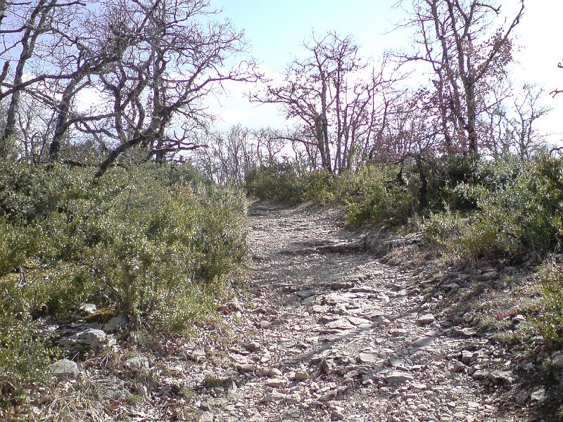 DSC02681